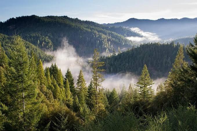 The Nature Dreams I Vacations I Conference I Mice I Family Events I Open Air Terrace I Sky Bonfire I Kufri By Exotic Stays Shimla Bagian luar foto