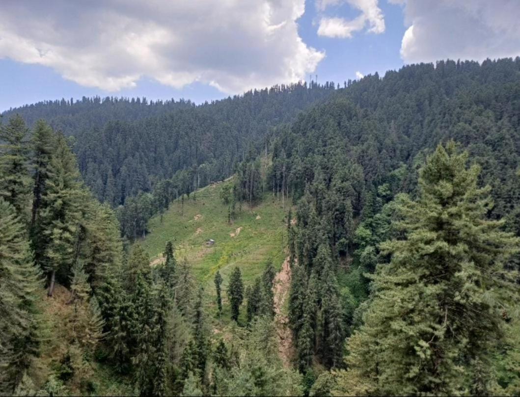 The Nature Dreams I Vacations I Conference I Mice I Family Events I Open Air Terrace I Sky Bonfire I Kufri By Exotic Stays Shimla Bagian luar foto