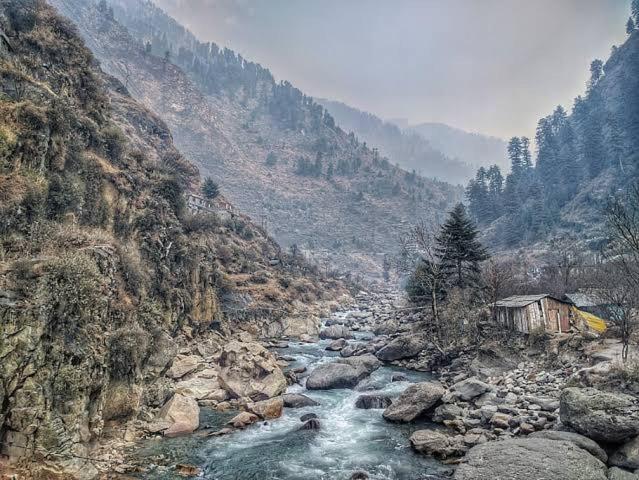 The Nature Dreams I Vacations I Conference I Mice I Family Events I Open Air Terrace I Sky Bonfire I Kufri By Exotic Stays Shimla Bagian luar foto