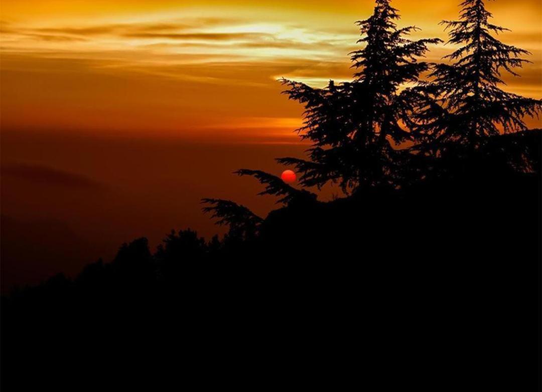 The Nature Dreams I Vacations I Conference I Mice I Family Events I Open Air Terrace I Sky Bonfire I Kufri By Exotic Stays Shimla Bagian luar foto