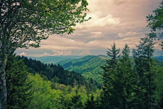 The Nature Dreams I Vacations I Conference I Mice I Family Events I Open Air Terrace I Sky Bonfire I Kufri By Exotic Stays Shimla Bagian luar foto
