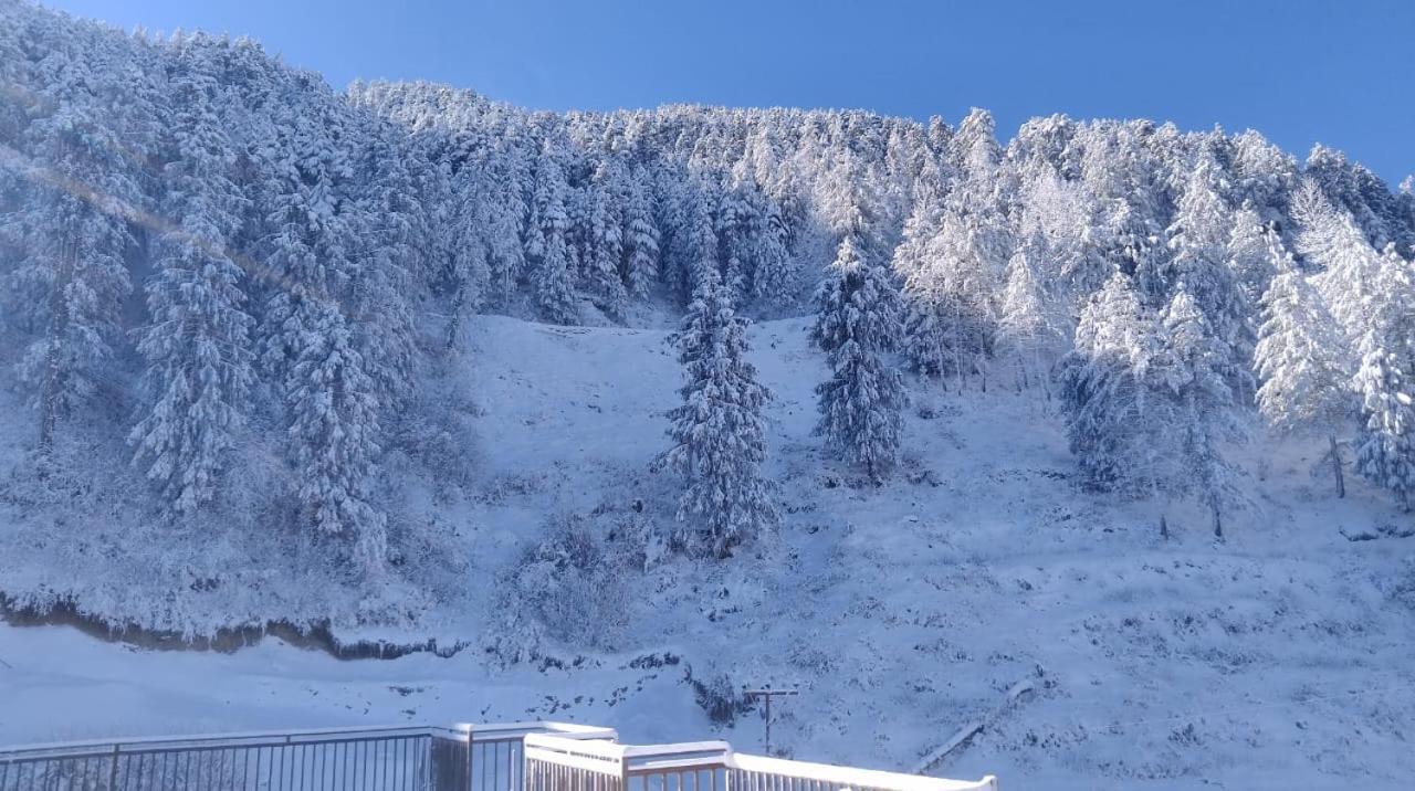 The Nature Dreams I Vacations I Conference I Mice I Family Events I Open Air Terrace I Sky Bonfire I Kufri By Exotic Stays Shimla Bagian luar foto
