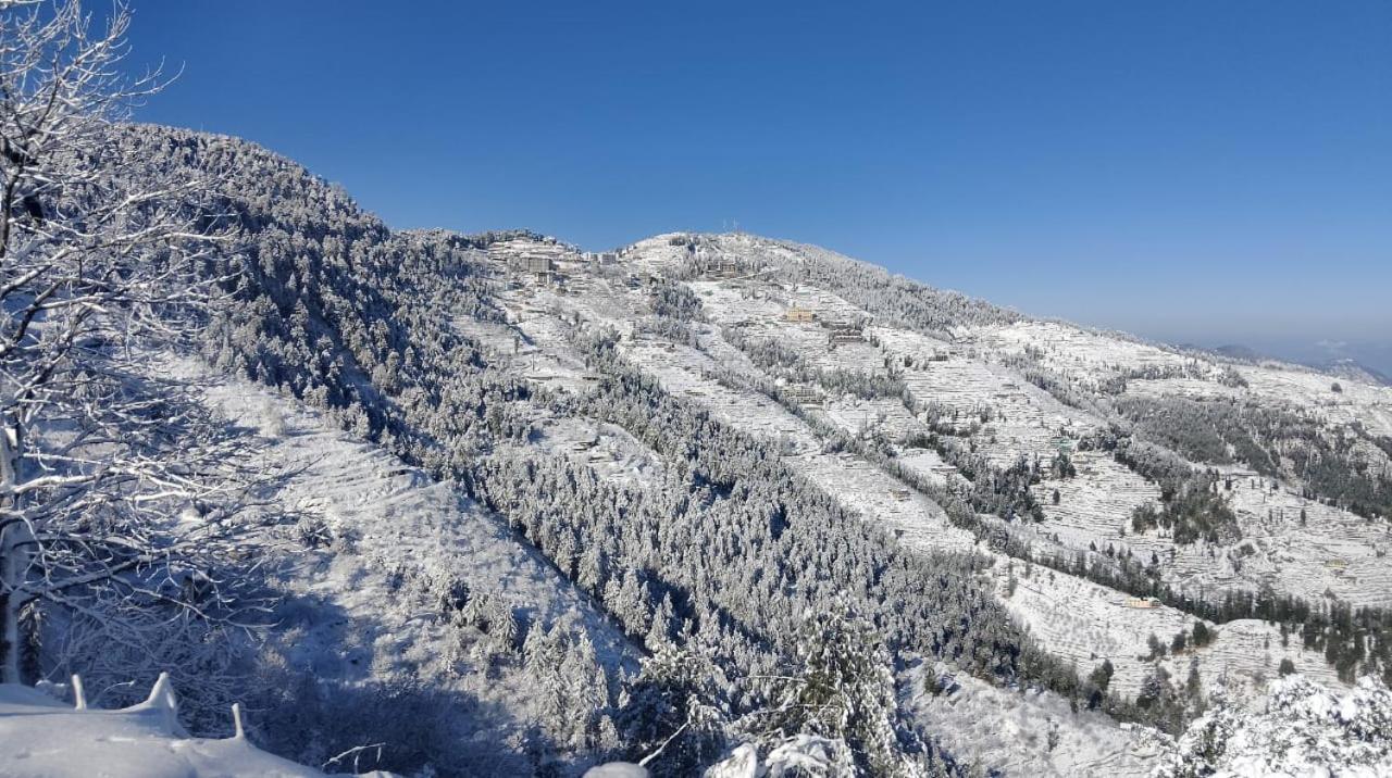 The Nature Dreams I Vacations I Conference I Mice I Family Events I Open Air Terrace I Sky Bonfire I Kufri By Exotic Stays Shimla Bagian luar foto